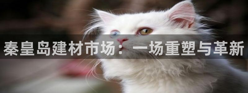 杏鑫注册登录地址