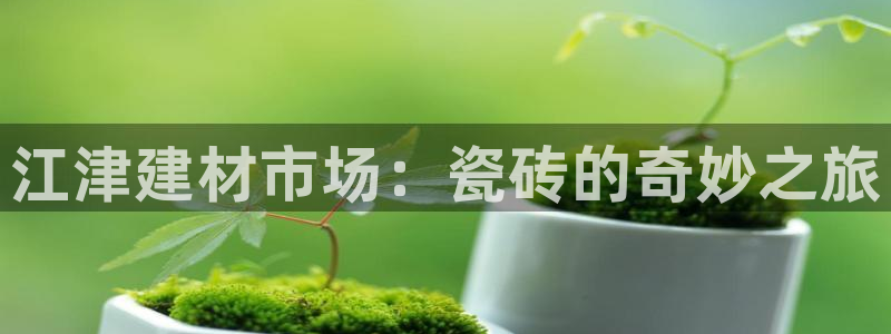 杏鑫平台在线注册