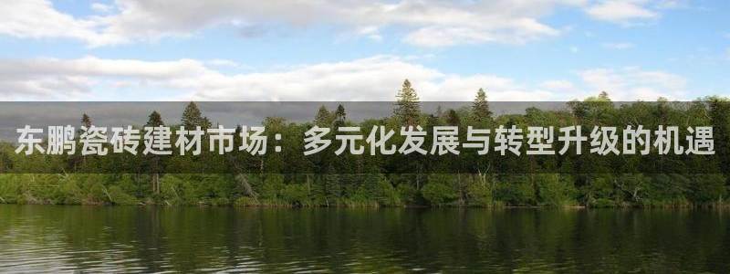 杏鑫平台代理注册流程及费用