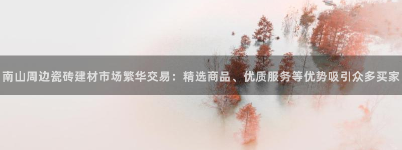 杏鑫平台代理注册流程图