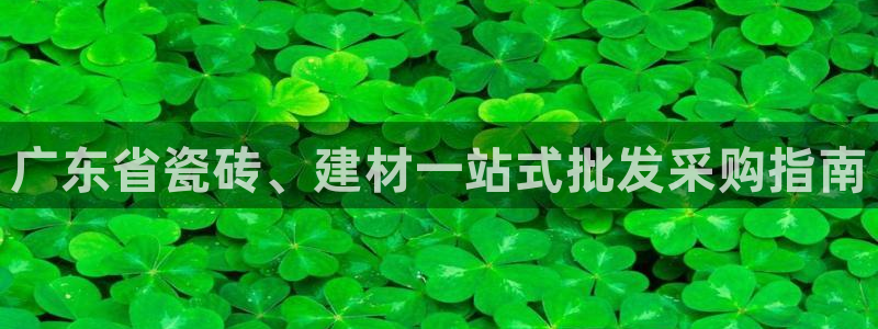 杏鑫平台代理注册流程