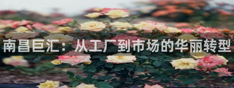 杏鑫平台注册入口在哪