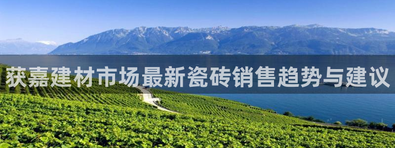 杏鑫官网注册账号