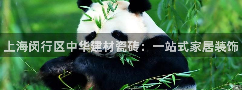 杏鑫注册登录平台