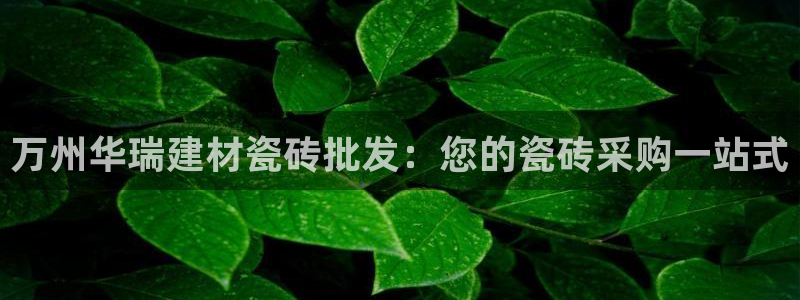 杏鑫官网最新信息新闻