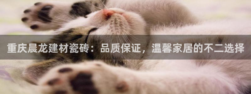 杏鑫代理注册登录