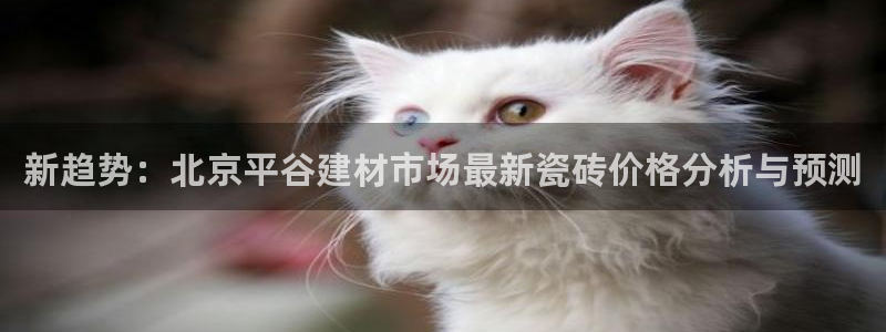 杏鑫平台直属哪个公司