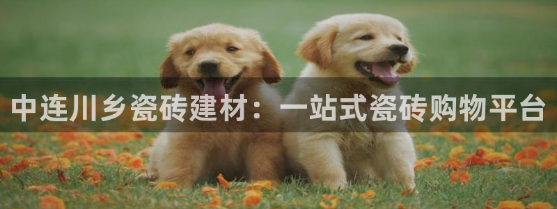 杏鑫平台登录地址在哪