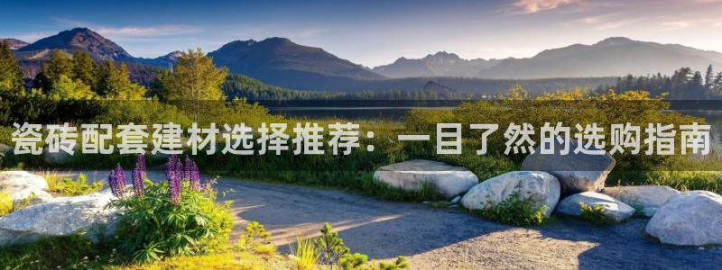 杏鑫平台登录注册