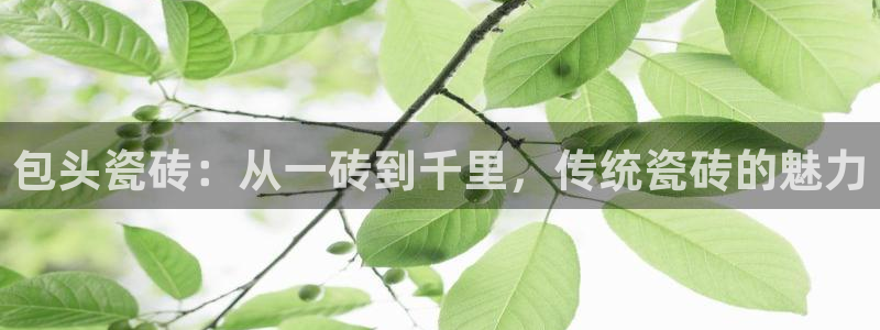 杏鑫娱乐官方网站客户端下载