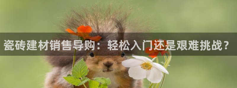 杏鑫官网最新信息新闻