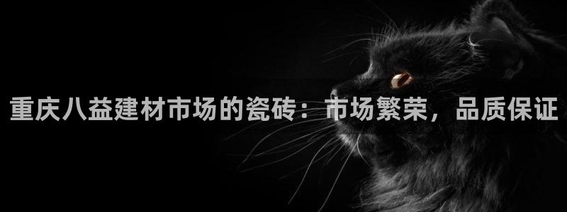 杏鑫代理注册平台