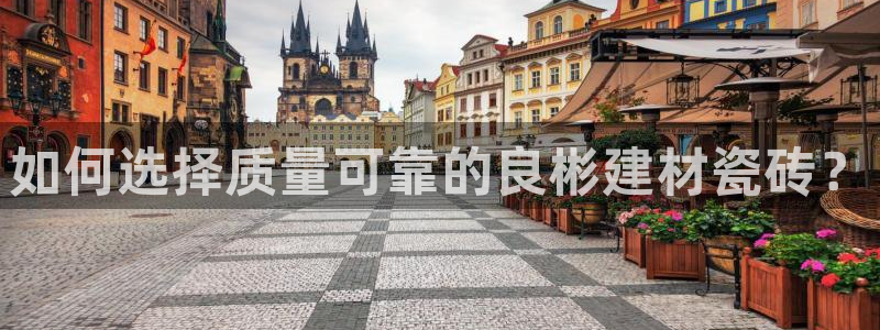 杏鑫代理注册登录