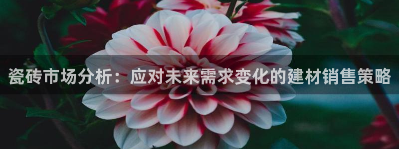 杏鑫官网注册账号密码是什么