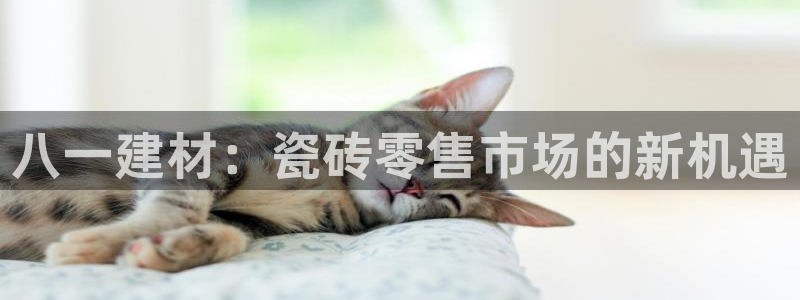 杏鑫官方平台怎么样啊