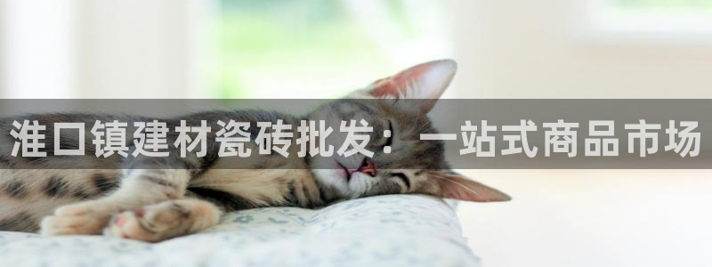 杏鑫平台招商怎么样可靠吗