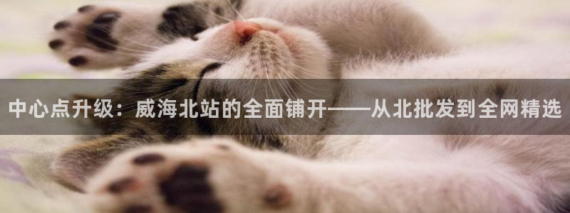 杏鑫平台代理怎么样赚钱