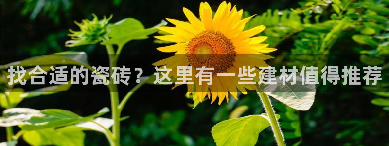 杏鑫平台下载安装